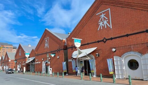 函館空港から金森赤レンガ倉庫へのアクセス完全ガイド｜バス・レンタカー・タクシーを徹底比較