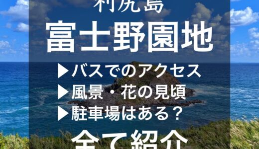 【利尻島】富士野園地の風景は？花の見頃やアクセス・駐車場の情報も紹介！
