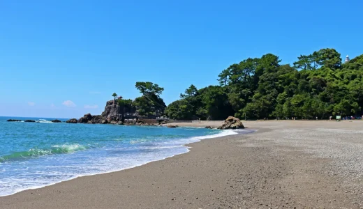 【全て個包装】高知のばらまきお土産おすすめ9選！定番土産から高知名物を使ったお土産まで厳選紹介！